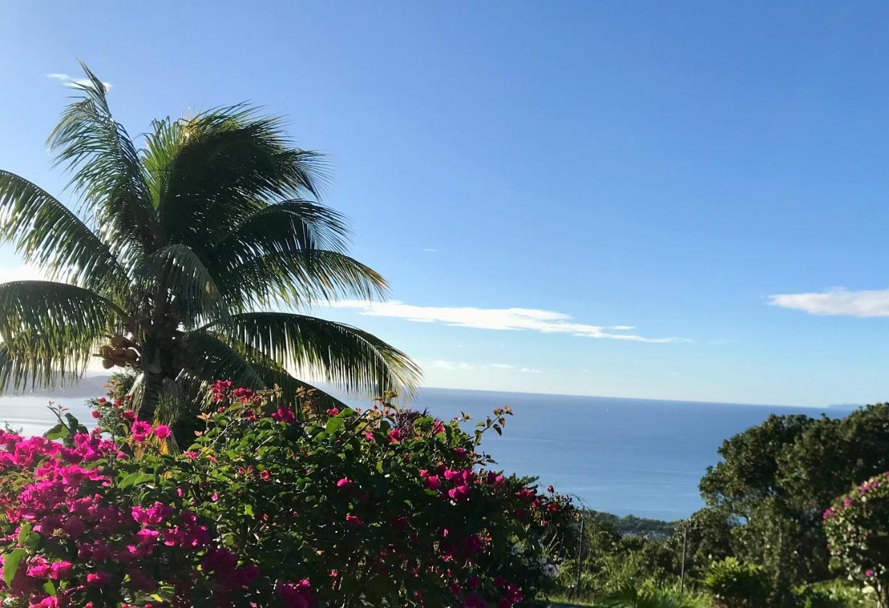 Appartement Prive Eco-Responsable, Vue Sur La Mer Des Caraibes Et Jardin Clos, Wifi, A 2Mn De La Plage Sainte-Luce Ngoại thất bức ảnh